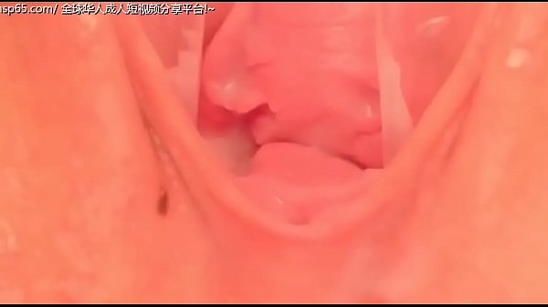 阴道